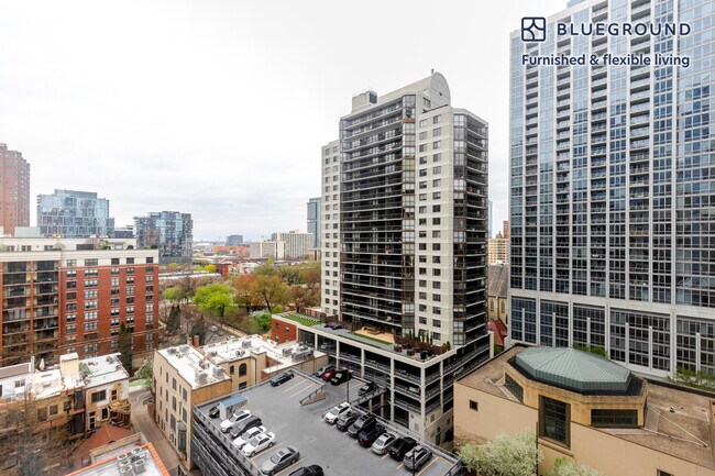 8 W Chestnut St unit FL13-ID1227, Chicago, IL 60610 - photo 6