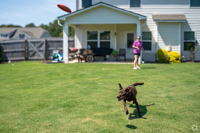 Dog catches a frisbee in a Bogart backyard.