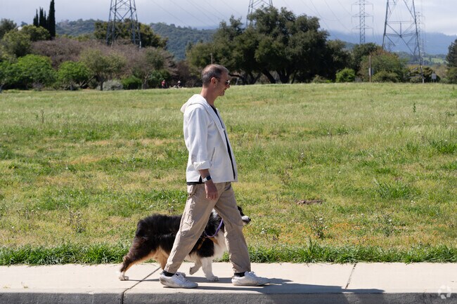 Almaden Meadows offers dog-friendly streets with plenty of open space for walks.