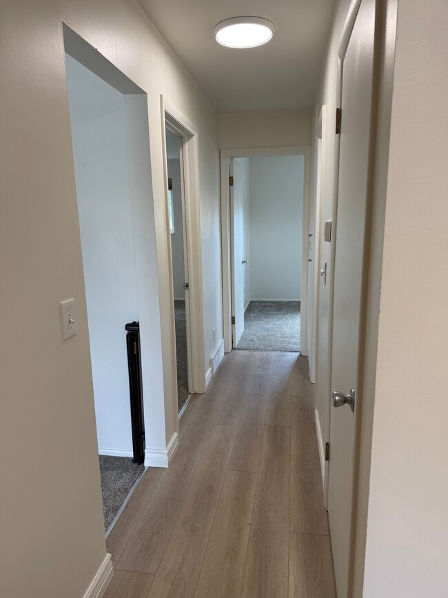 New vinyl plank flooring