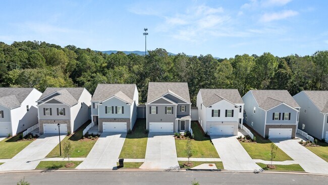 63 Rolling Meadow, Jasper, GA 30143 - photo 4