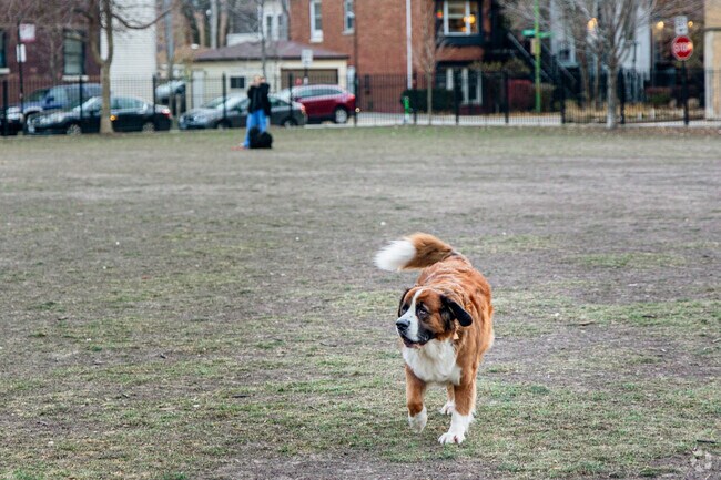 Holstein Park is dog friendly and full of activity year round in Bucktown.
