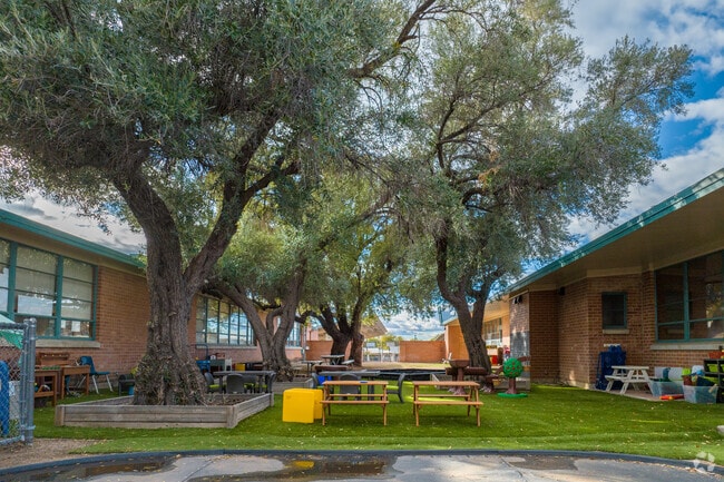 Wheeler uses instrumental music, opera, dance, theater and visual arts to help teach