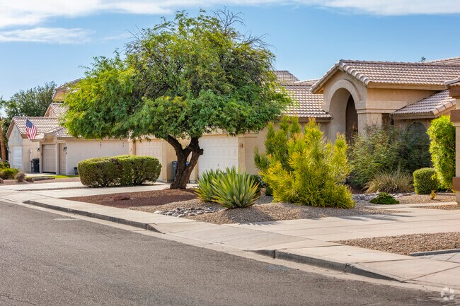 Ironwood Vistas showcases a diverse range of beautiful homes for every taste.