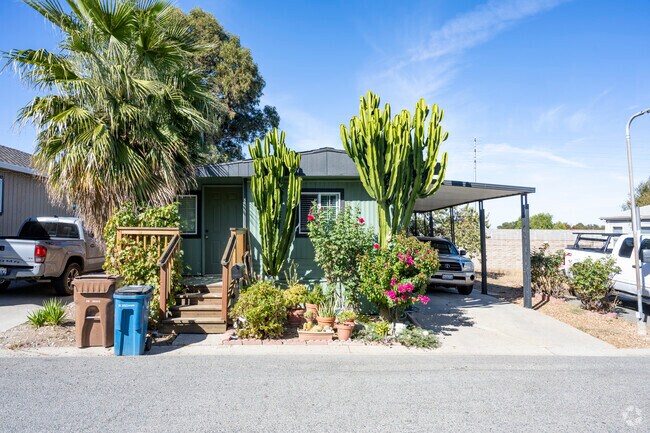 Desert landscaping with palms and cactus appears in some yards in Bay Point West.