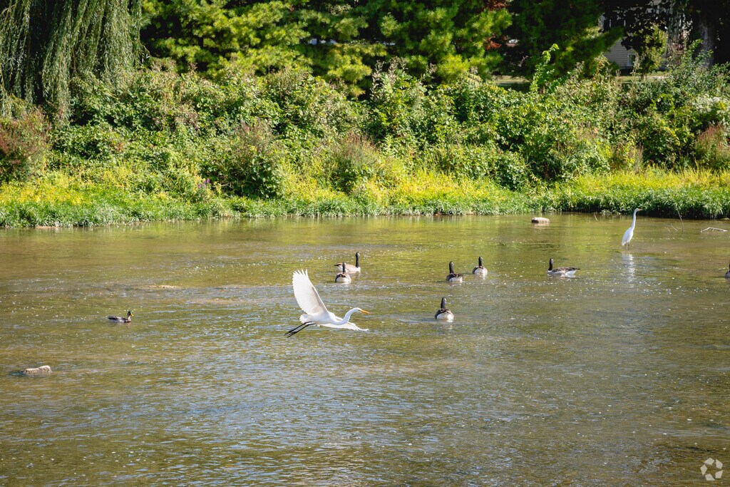 317 W 4th St, Monroe, MI 48161 MLS 50158618