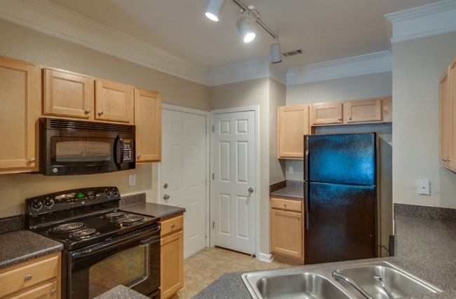 The Preserve At Spears Creek, Elgin, SC 29045 - photo 4