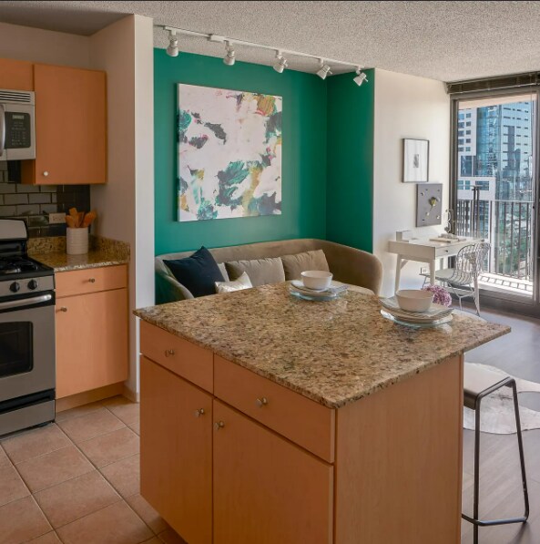 235 N Columbus Dr, Chicago, IL 60611 - photo 3