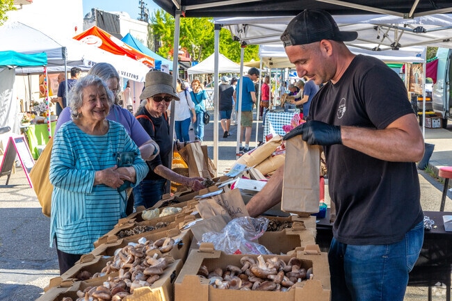 The North Berkeley Farmer's Market offers plenty of delicious mushrooms to choose from.