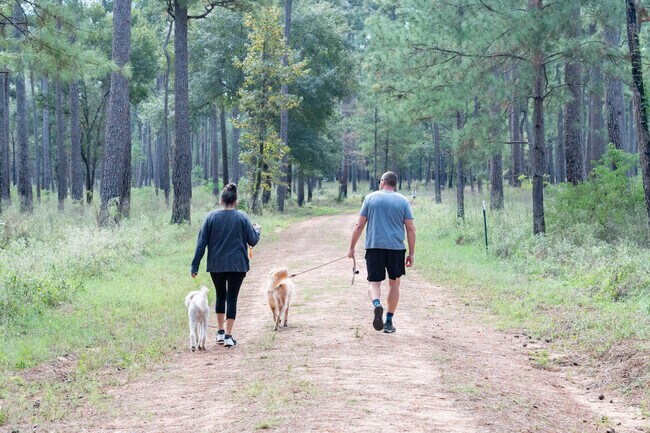 The state forest near Woodloch offers a retreat for nature lovers.