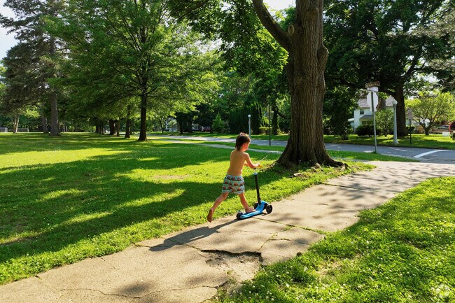 Browncroft is known for it's magnificent mature sycamore trees lining many streets.