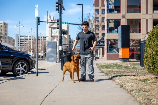 Take your dog for a walk at Old Towne near McCormick.
