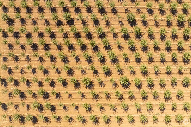 Planada may be small, but its community spirit runs deep.