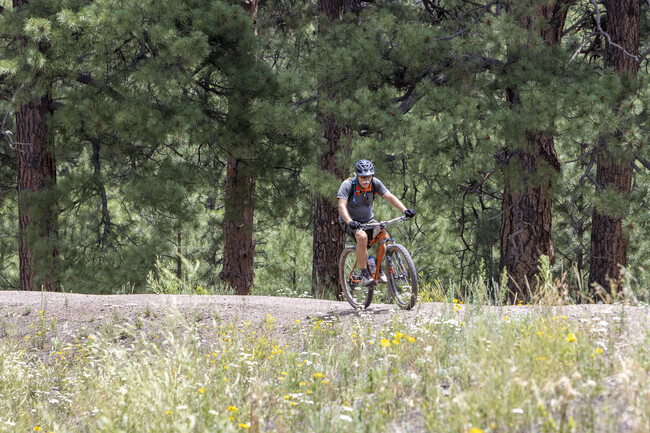 Schultz Creek Trailhead offers some amazing mountain biking near Coconino Estates.