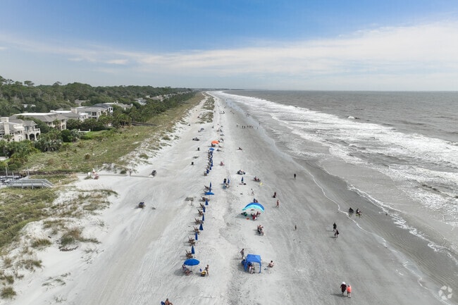 You can enjoy the beauty and fun of the beach in Palmetto Dunes.