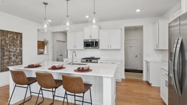 20145 Ginseng Way, Lakeville, MN 55044 - photo 2