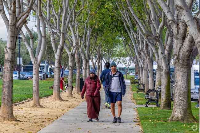 Enjoy a peaceful walk among tall trees at Moitozo Park in San Jose.