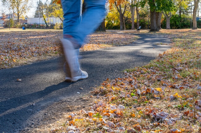 Enjoy a peaceful walk with pets or friends along the paved pathway around Indian Creek Park.