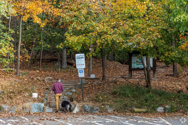 The Middlesex Fells Reservation is a great place to take walk your dogs.