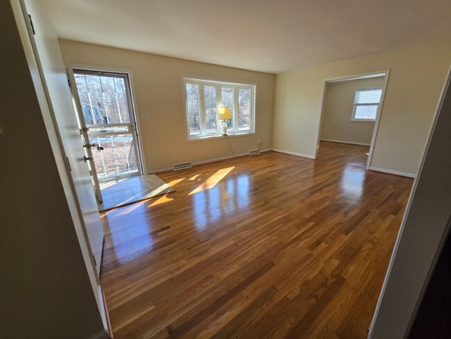 20716 Vernetta Ln, South Chesterfield, VA 23803 - photo 4