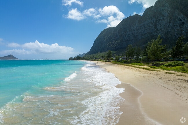 Experience scenic beauty where beaches meet majestic Ko'olau mountains.