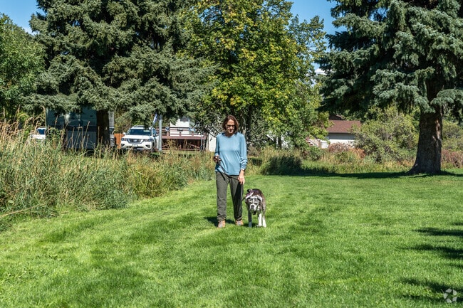 Kirk Park is a dog friendly park with plenty of green space to walk or run.