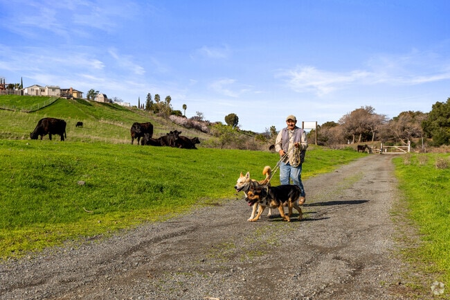 Cow grazing fields border the Pittsburg Southwest neighborhood.