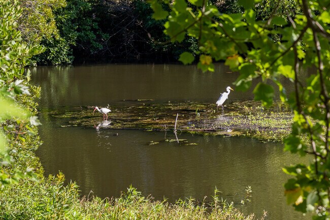 Anne McCrary Park offers walking trails and more to local residents.