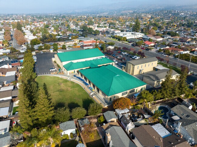 Empowering minds at St Thomas More School.