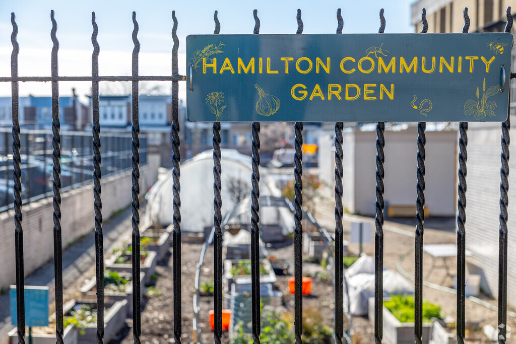 Students at Andrew Hamilton School have access to the Hamilton Community Garden.
