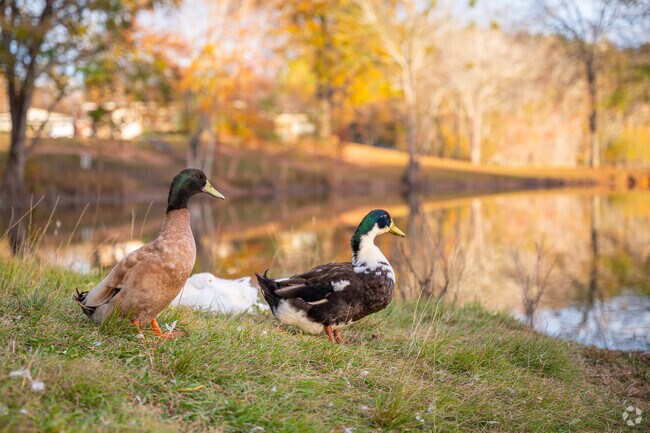 Pleasant Lake is home to wildlife of all kinds throughout the year.