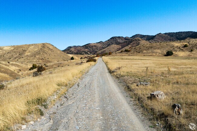 There are many off-the-beaten-path roads to explore in Hyde Park.