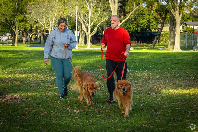 Dog owners enjoy scenic strolls through Stearns Champions Park.
