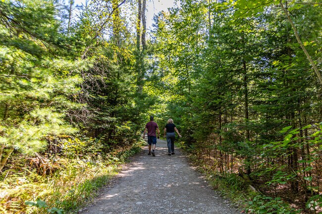 Orono Bog Boardwalk