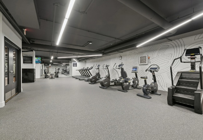 1129 South Blvd, Oak Park, IL 60302 - photo 7