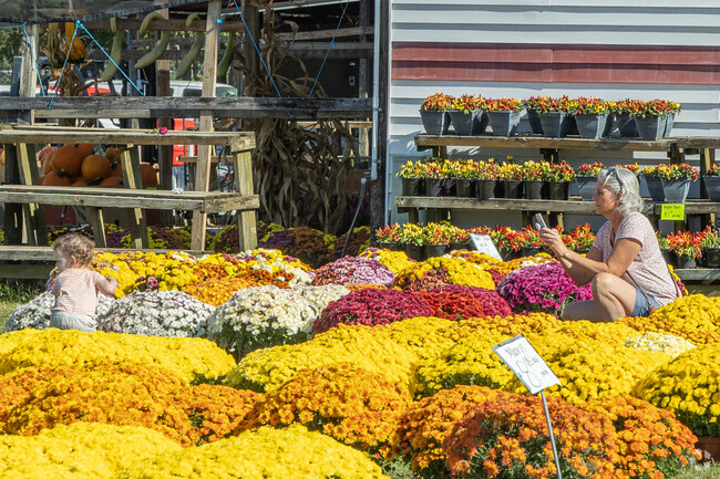 Freshly cut flowers abound at the The Pee Dee State Farmers Market near Glendale Acres.