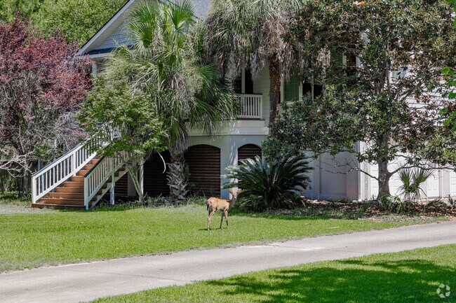 In Darrell Creek, you will find local wildlife roaming the neighborhood in Mount Pleasant.
