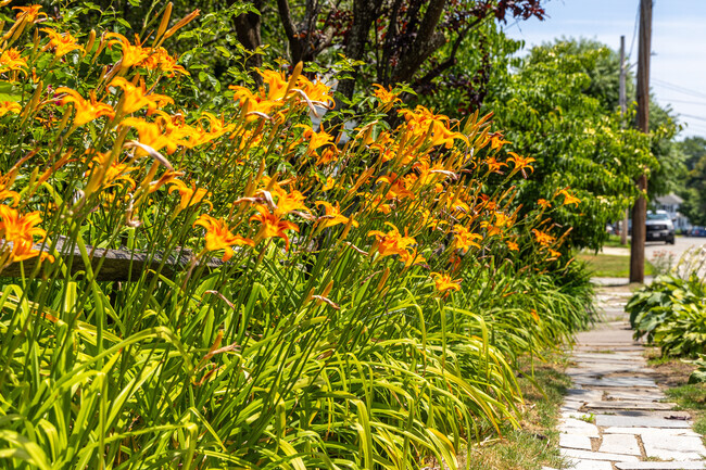 Beautiful flowers line the sidewalks in the Pawtucketville neighborhood.