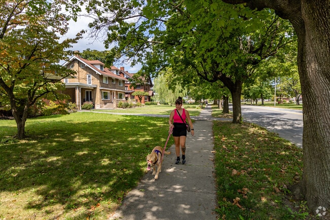 Take your best friend for a walk around Mansion Park.