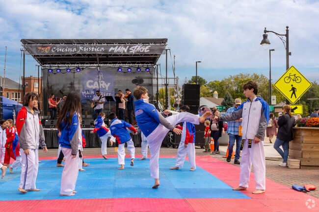 A thrilling Karate show draws a crowd as performs display their skills at Cary Main Street Fest.