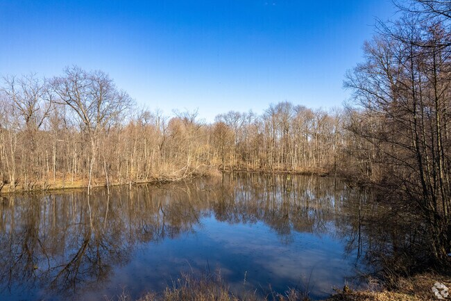 Thoreau Lake at Blendon Woods Metro Park is a great place to bird watch.