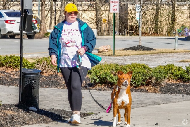 Edgewood's walkability makes it an accommodating neighborhood for dog owners.