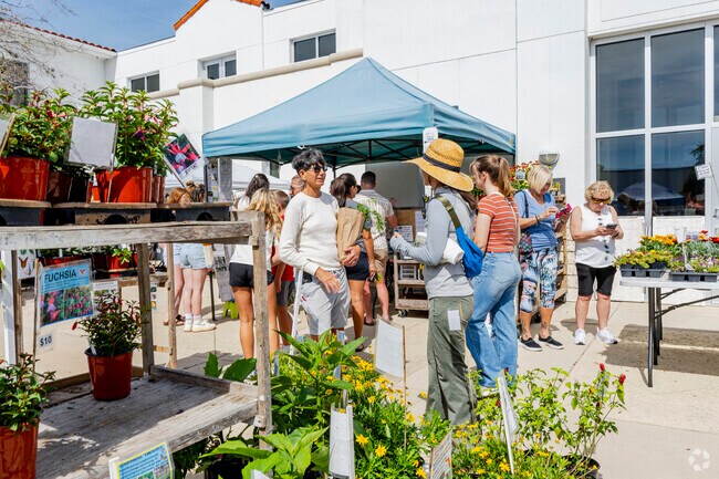 Hit up the local farmer's market in Ormond Beach near Pine Trails.