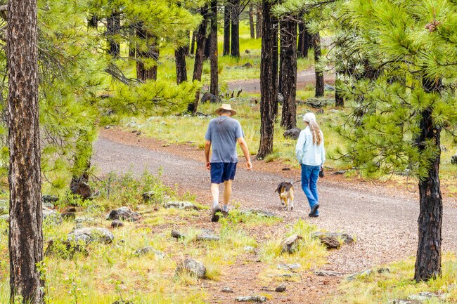 Walking the area trails of Cheshire is a common thing for residents.