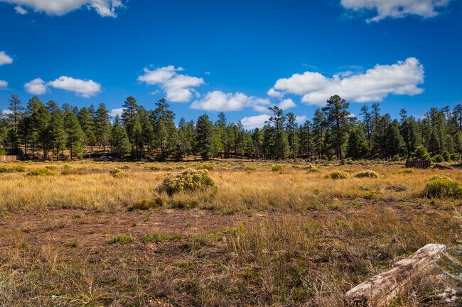 The Kaibab National Forest has plenty of trails for Valle residents to enjoy.
