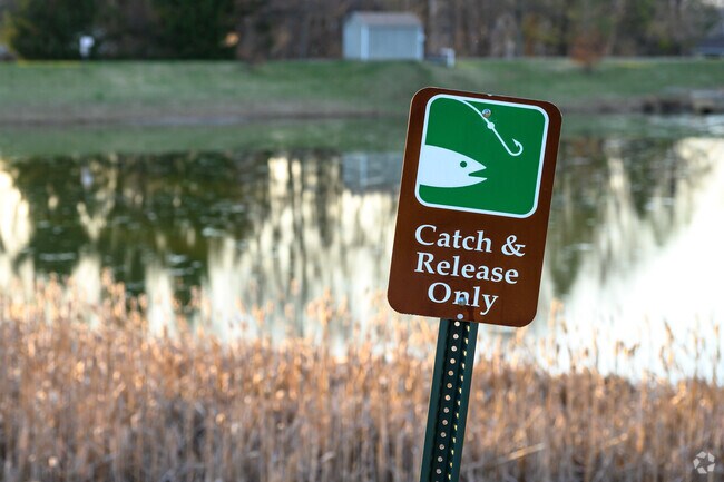 The fishing pond at Turkey Brook Park in Mount Olive is catch and release.