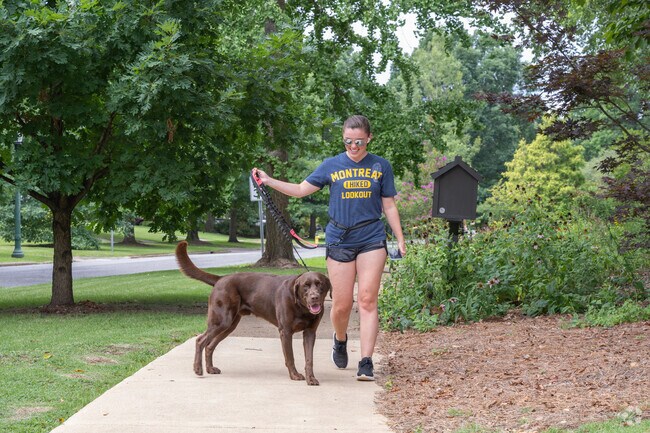 Forest Park is the 7th most walkable neighborhood in Birmingham with 4,092 residents.