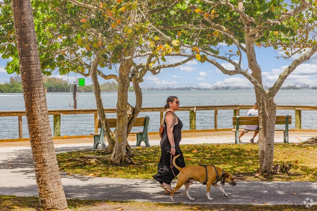 A Port Salerno resident enjoys the boardwalk at Sandsprit Park with her pup.