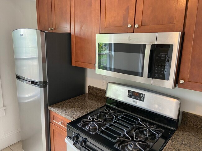 24 Dunreath St unit 2, Roxbury, MA 02119 - photo 2