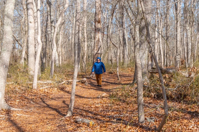 Take a stroll down the paths of Terrell River County Park in nearby Center Moriches.